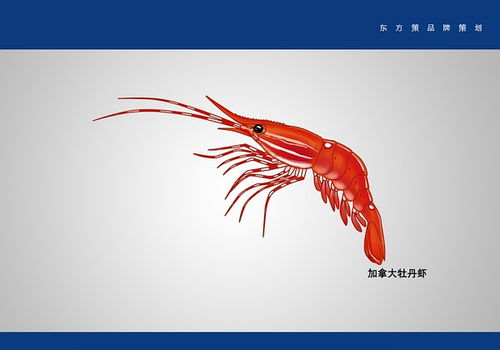 大連平面設計與動畫制作中如何應對思路打斷的困擾